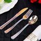 24 Iridescent Plastic Cutlery Spoon Fork Knife Set Disposable Tableware Party
